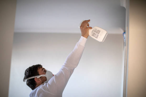 Best Mold Damage Repair  in White Oak, PA